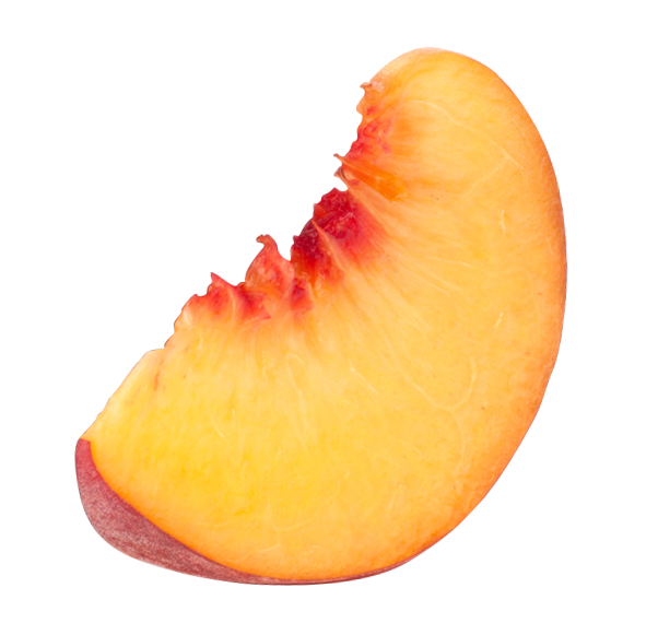 Cantaloupe Slices Png HD Free Download
