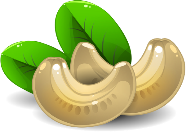 Nut Cashew Png HD Free Download