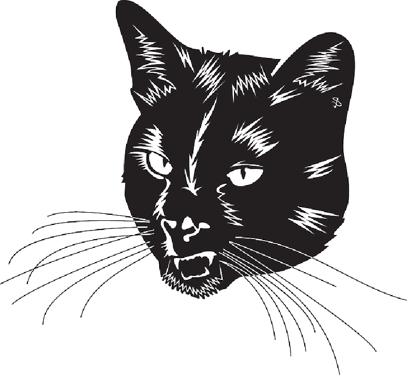 Vector Cat Png HD Free Download