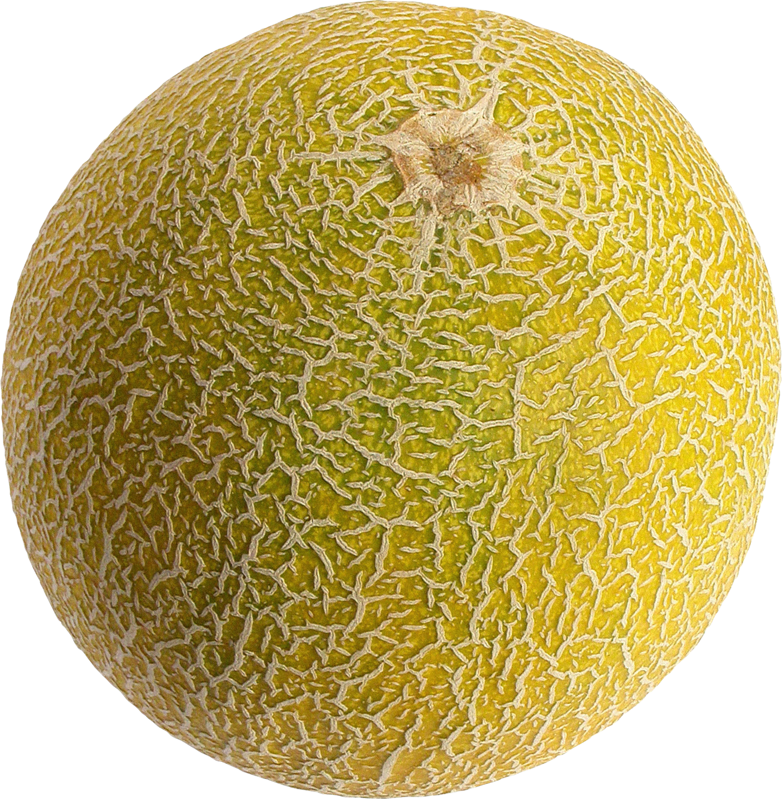 Fresh Cantaloupe Png HD Free Download