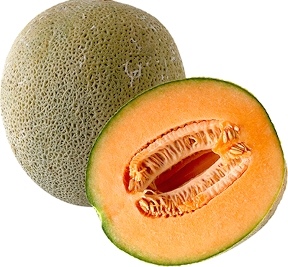 Cantaloupe Half Png HD Free Download