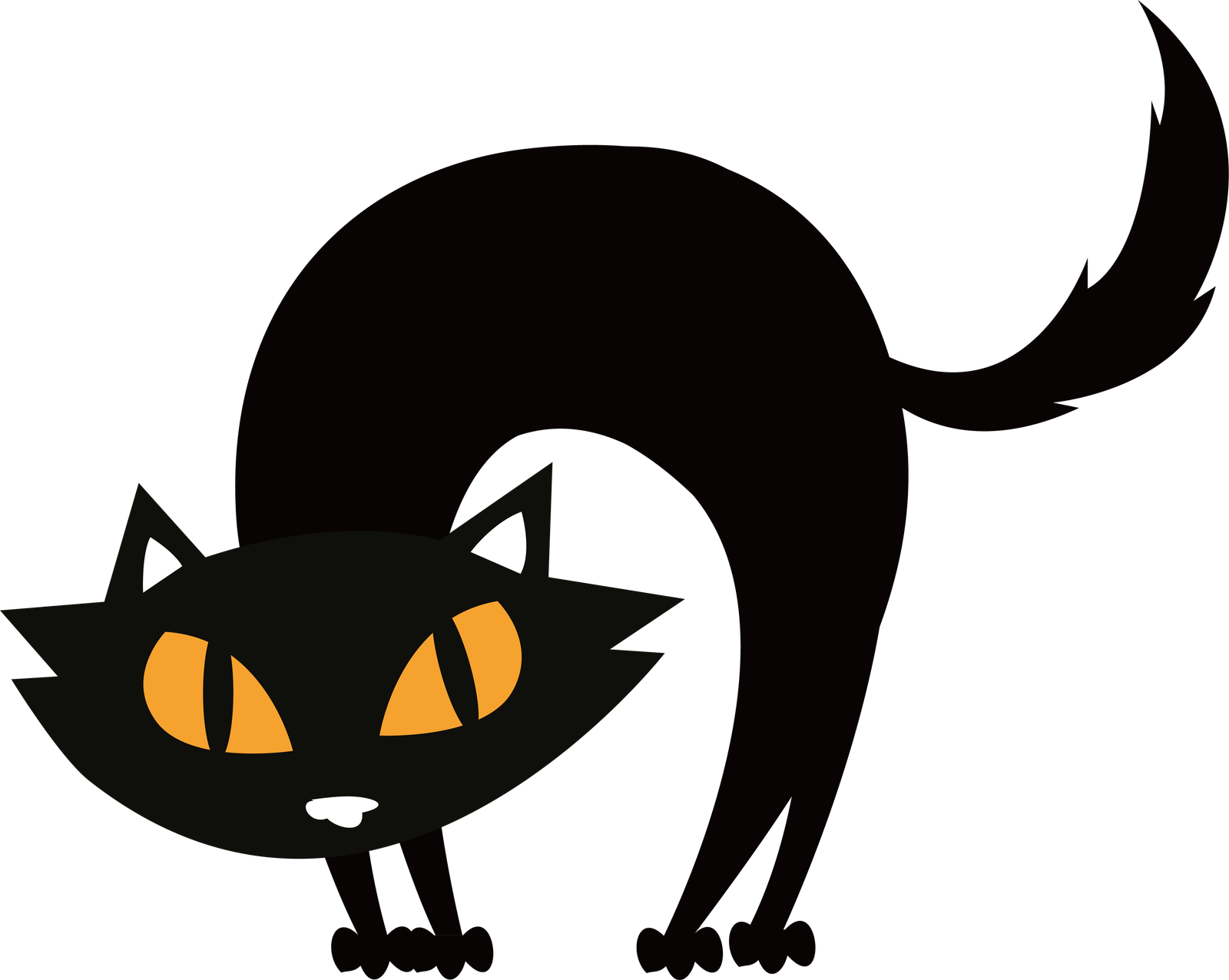 Vector Halloween Cat Png HD Free Download