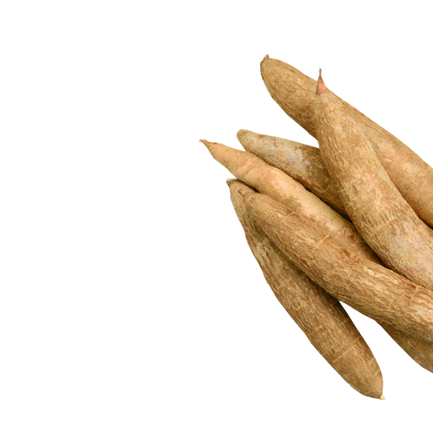 Organic Cassava File Png HD Free Download