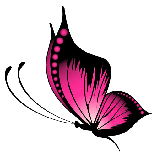 Pink Butterfly Png HD Free Download