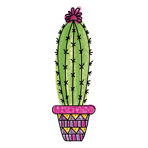 Vector Plant Prickly Cactus Png HD Free Download