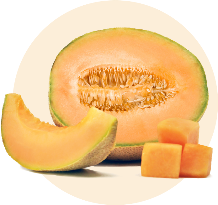 Cantaloupe Slice Png HD Free Download
