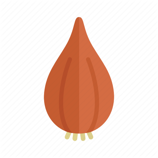 Brown Vector Onion Png HD Free Download