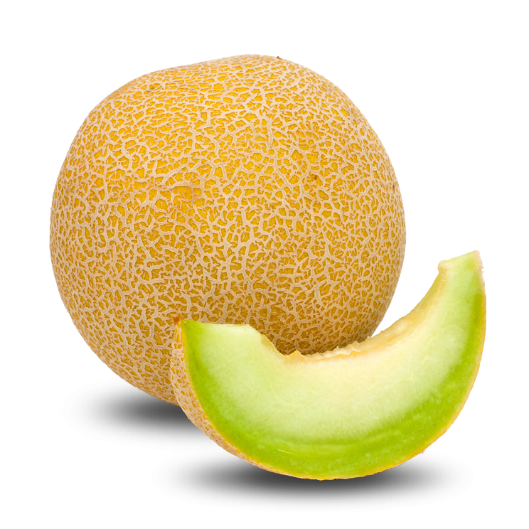 Cantaloupe Yellow Png HD Free Download