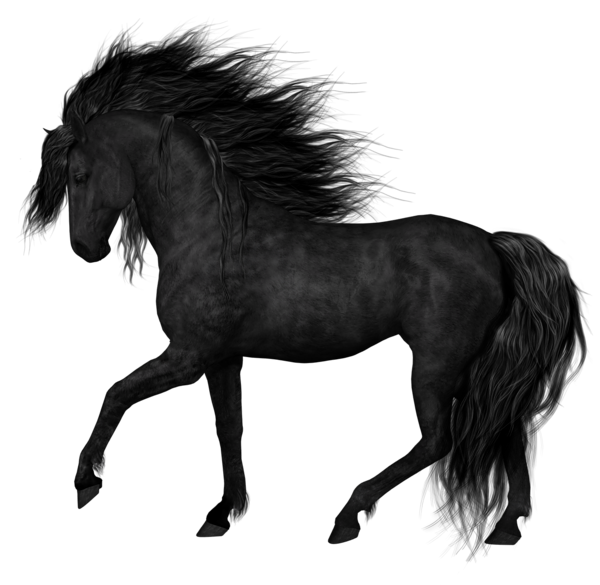 Horse Arabian Black Png HD Free Download