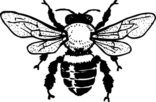 Honey Vector Bee Png HD Free Download