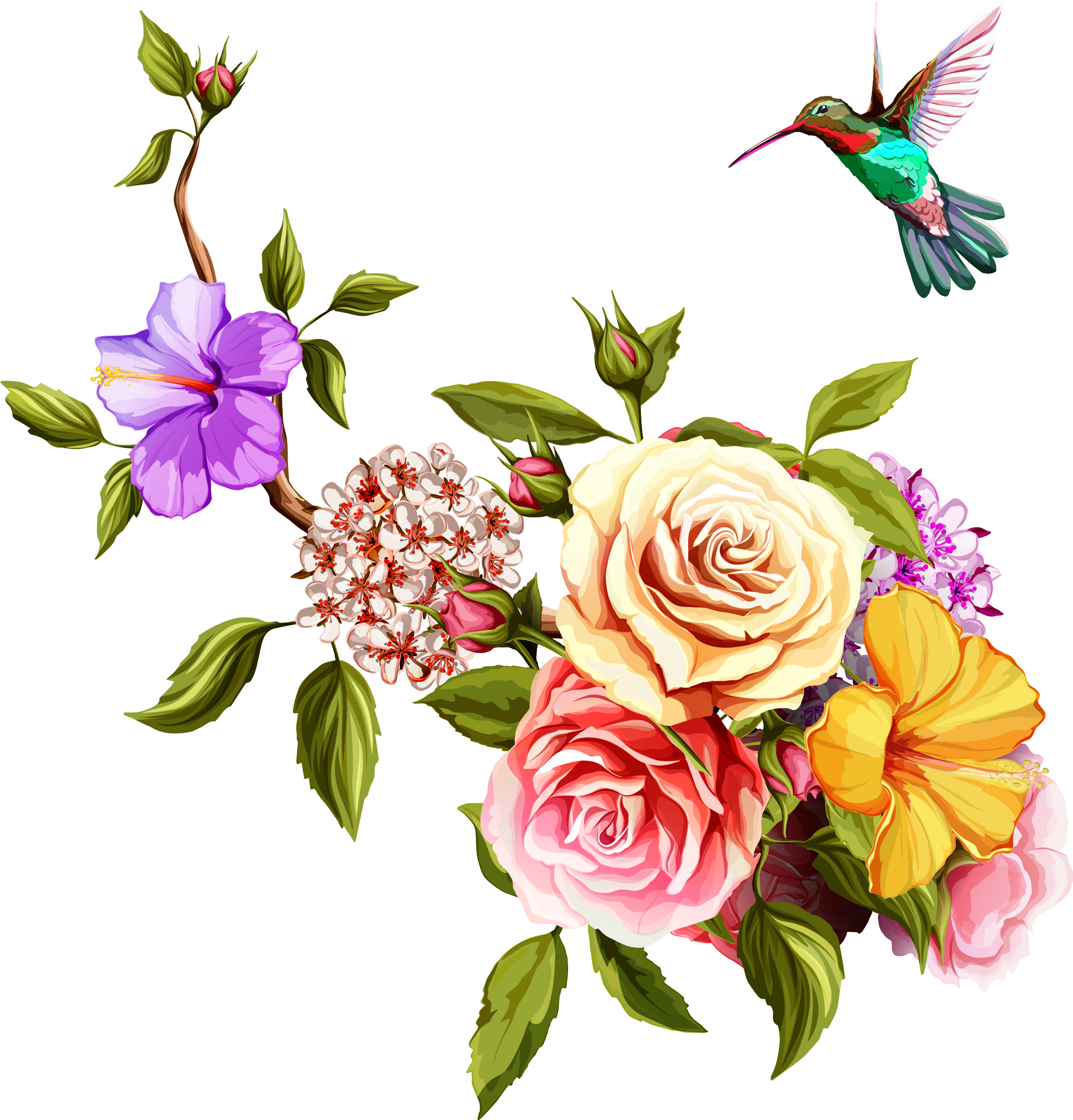 Watercolor Flower Hummingbird Clipart Png HD Free Download