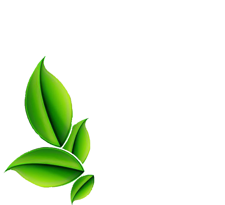 Herbs Leaf Clipart Png HD Free Download