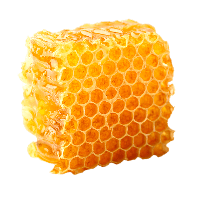 Organic Honeycomb Png HD Free Download