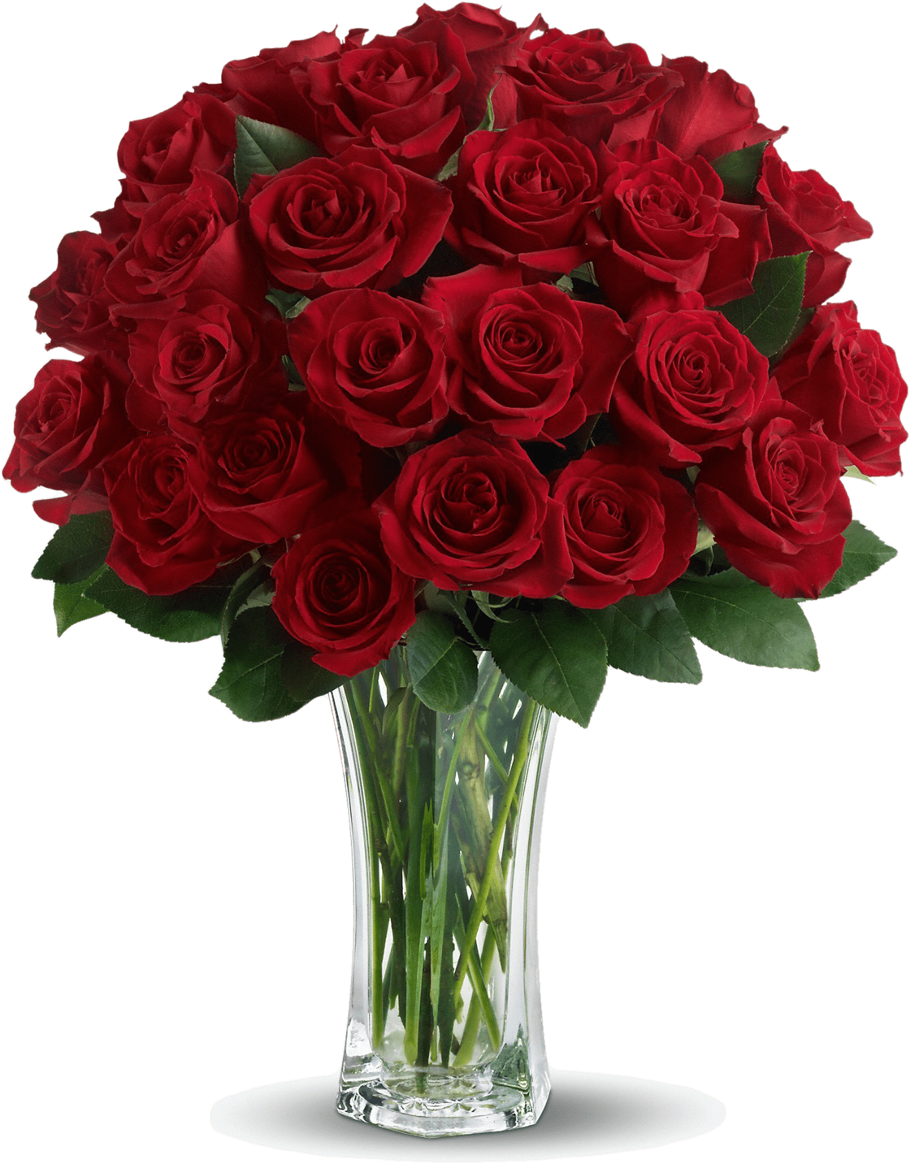 Rose Valentines Day Png HD Free Download