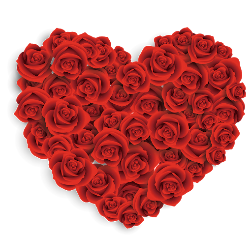 Rose Valentines Day Png HD Free Download