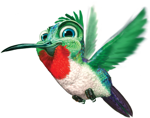 Flying Vector Hummingbird Png Hd Free Download