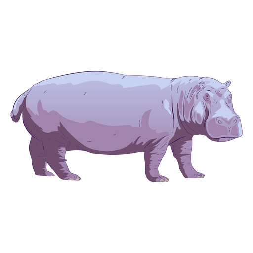 Hippo Vector Png HD Free Download