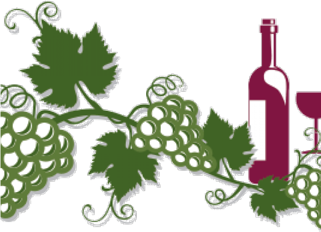 Grape Vine Leaf Art Png HD Free Download