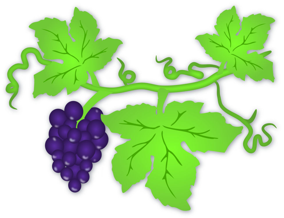 Grape Vine Leaf Art Png HD Free Download