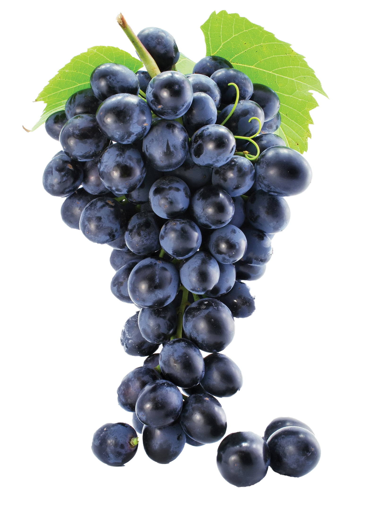Photos Black Grapes Png HD Free Download