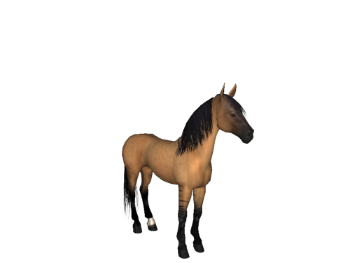 Farm Horse Morgan Png HD Free Download