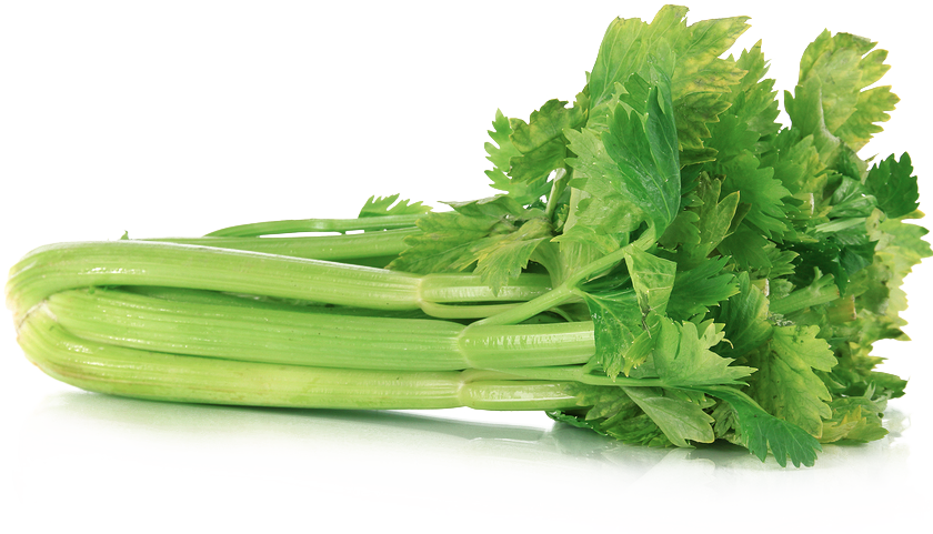 Celery Fresh Green Png HD Free Download