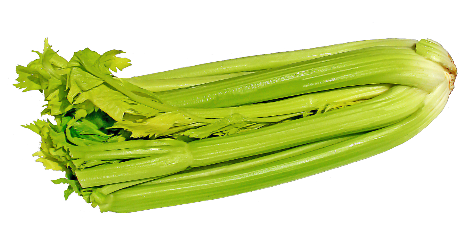 Celery Fresh Green Png HD Free Download