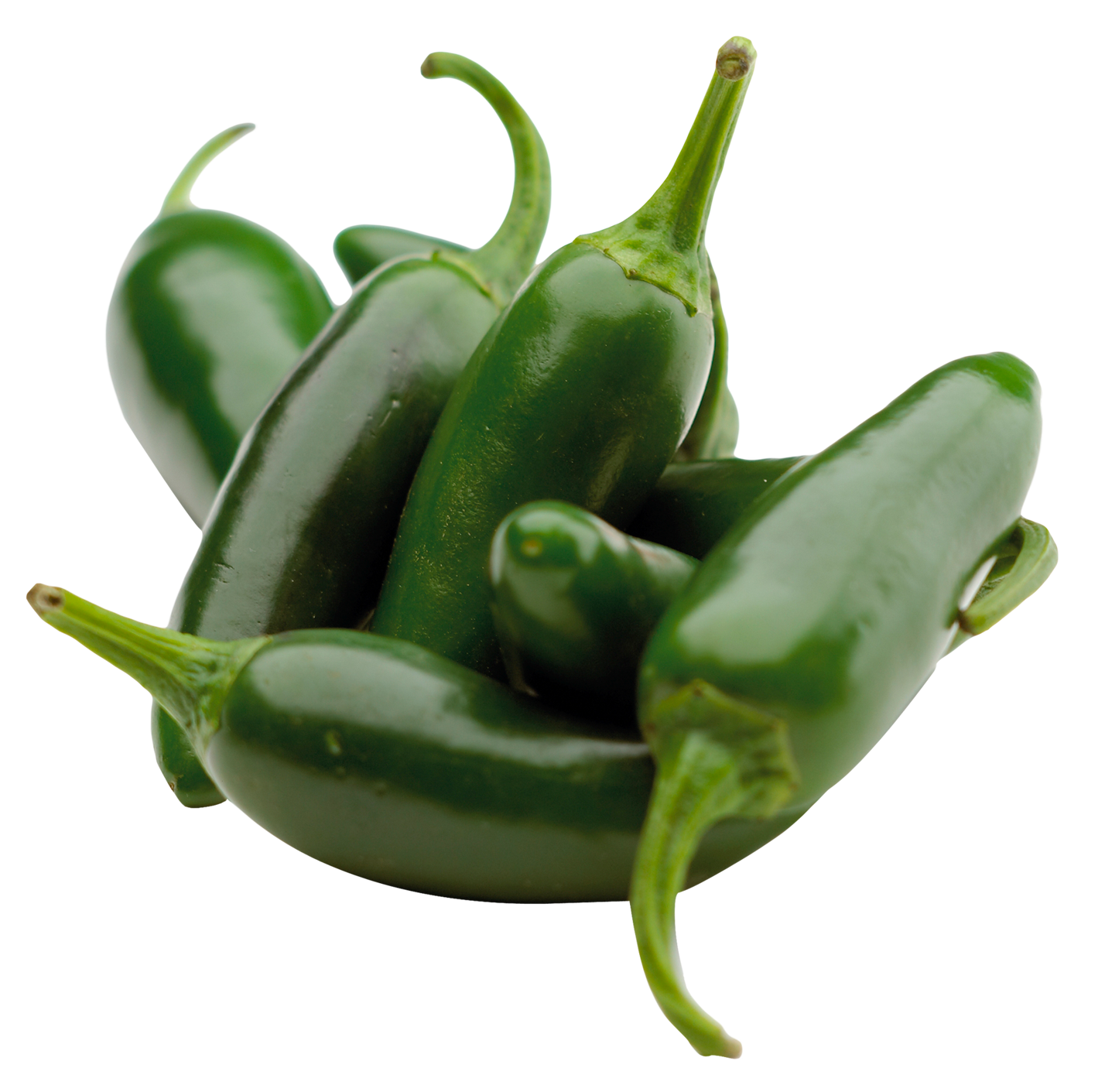 Fresh Chili Green Pepper Png HD Free Download