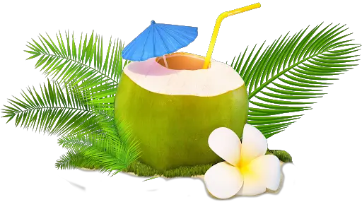 Fresh Coconut Green Png HD Free Download