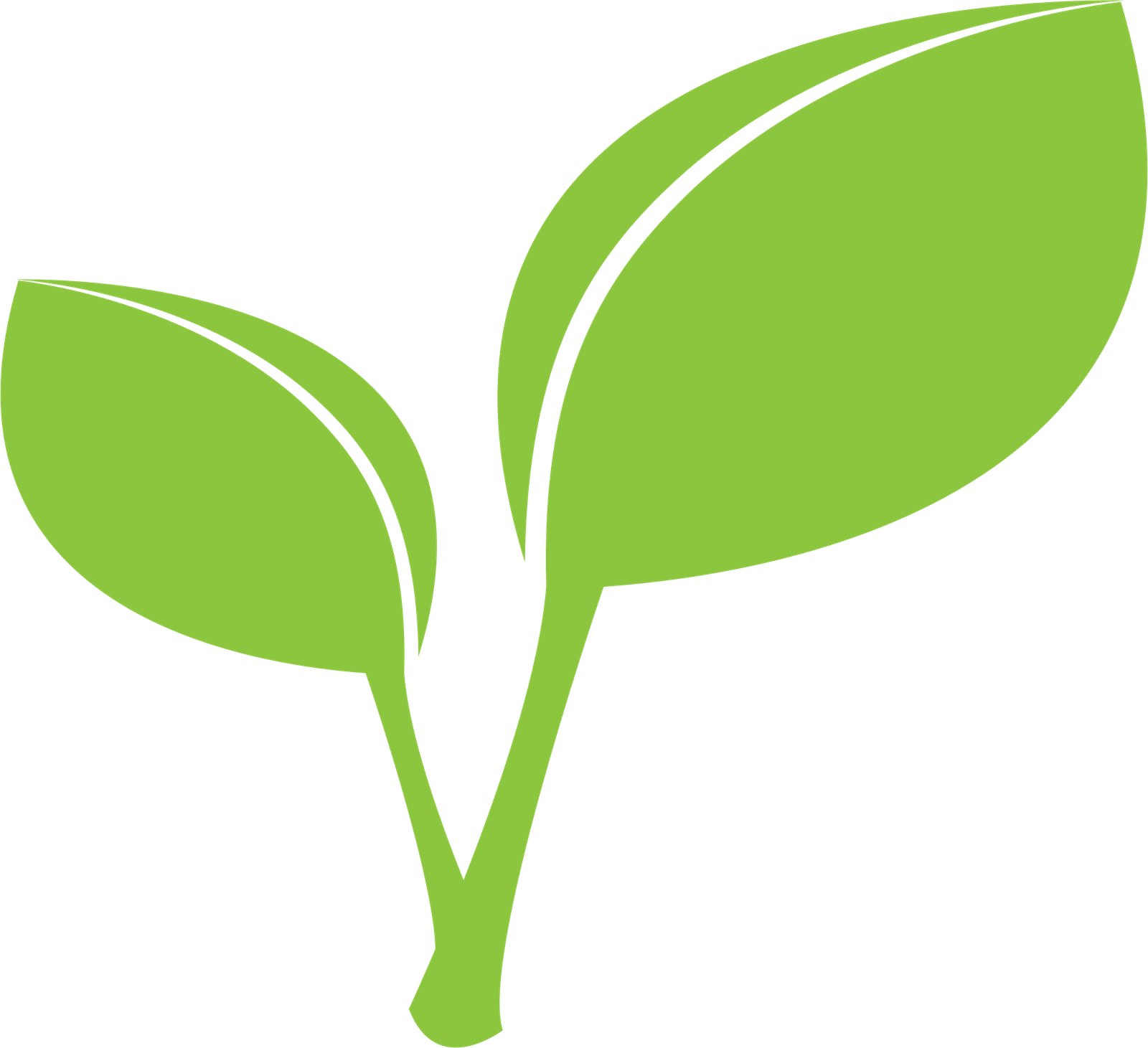 Fresh Green Leafs Png HD Free Download