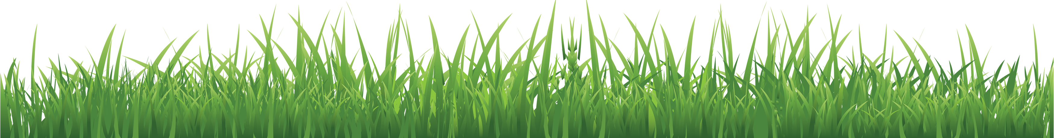 Grass Clipart Png Hd Free Download