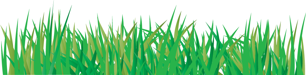 Vector Grass Png Hd Free Download