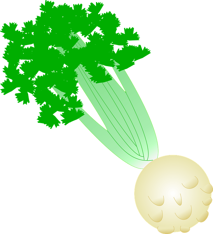 Celery Green File Png HD Free Download