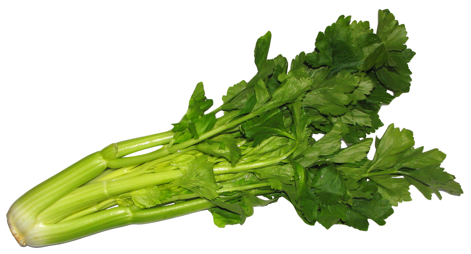 Celery Pic Green Png HD Free Download