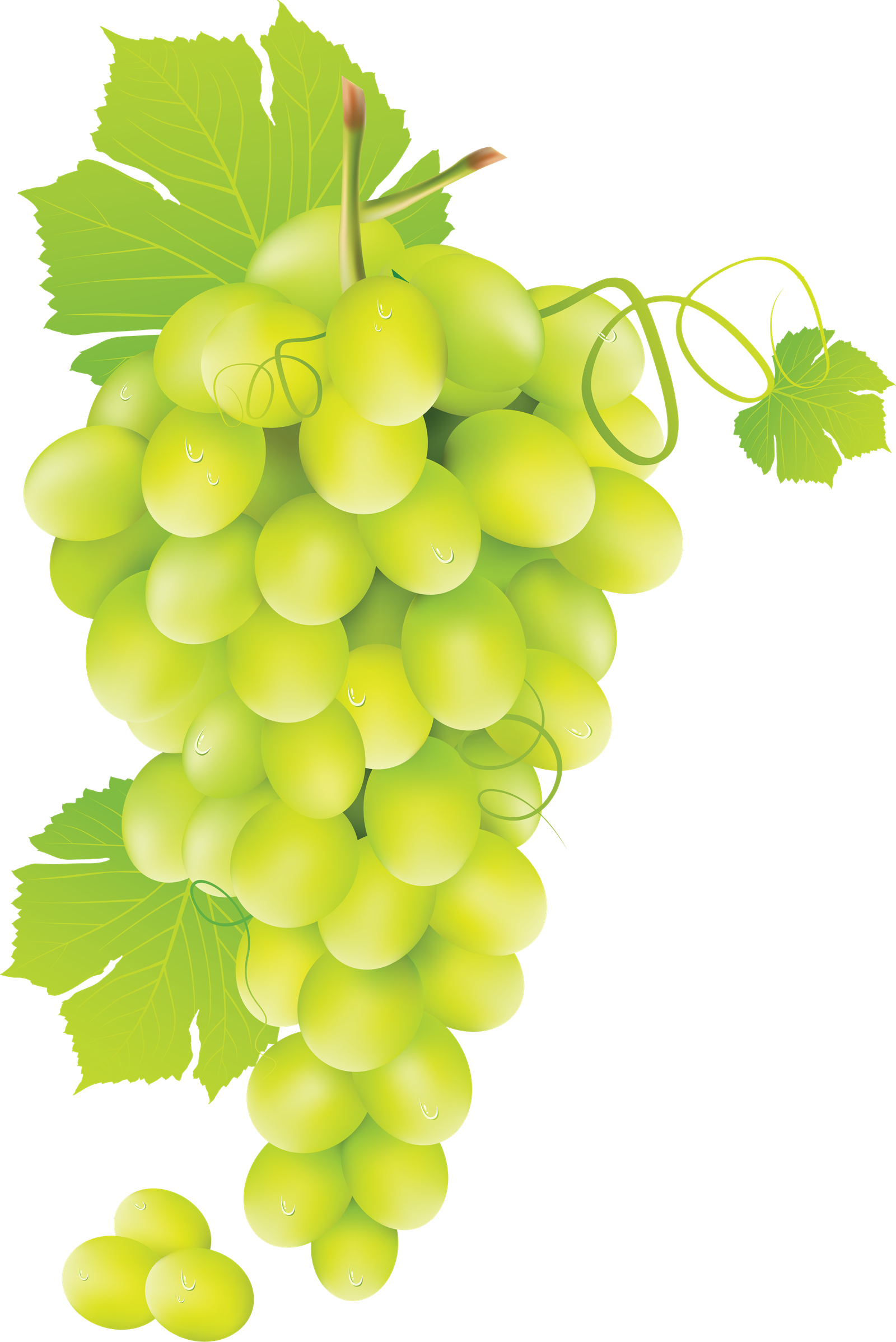 Green Grapes Png HD Free Download