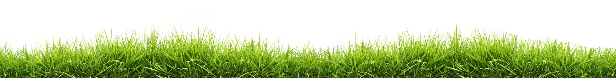 Grass Green Png HD Free Download