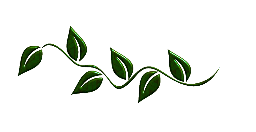 Leaves Green Png HD Free Download