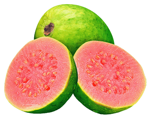 Guava Transparent Png HD Free Download