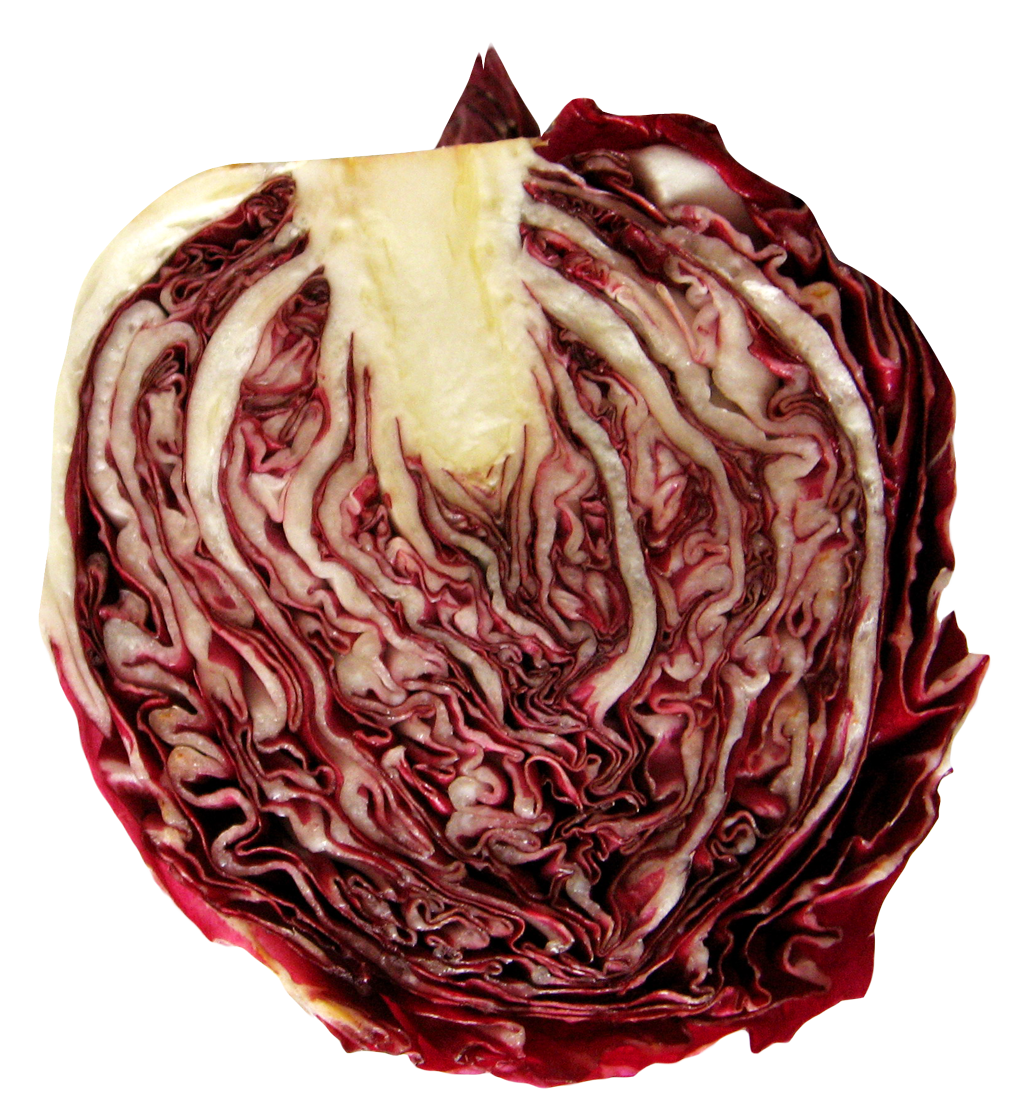 Cabbage Half Png HD Free Download
