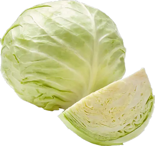 Cabbage Half Png HD Free Download