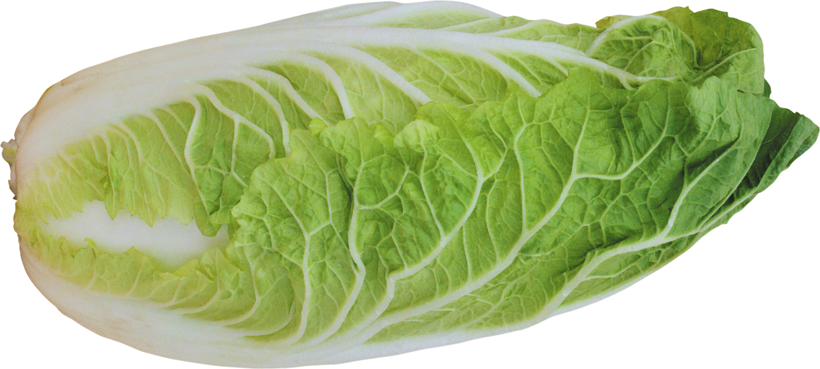 Cabbage Half Png HD Free Download
