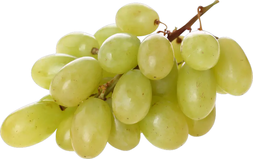 Green Juicy Grapes Png HD Free Download