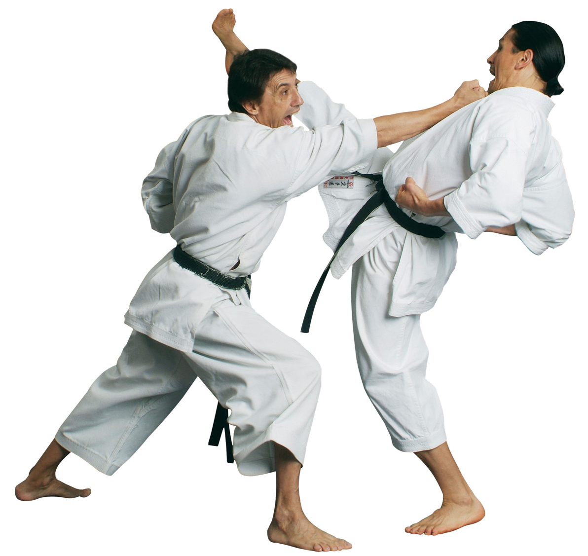 Karate Martial Male Fighter Png HD Free Download