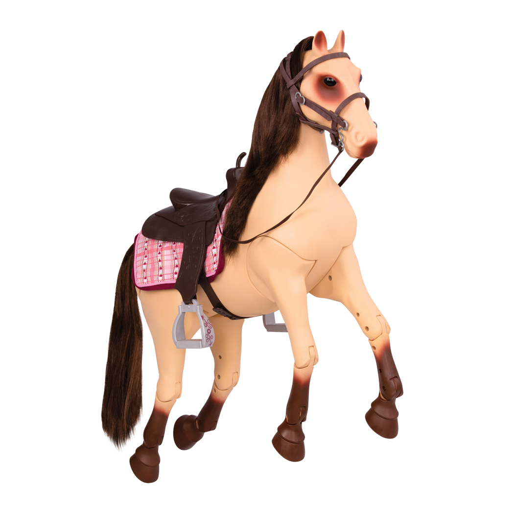 Horse Morgan Png HD Free Download