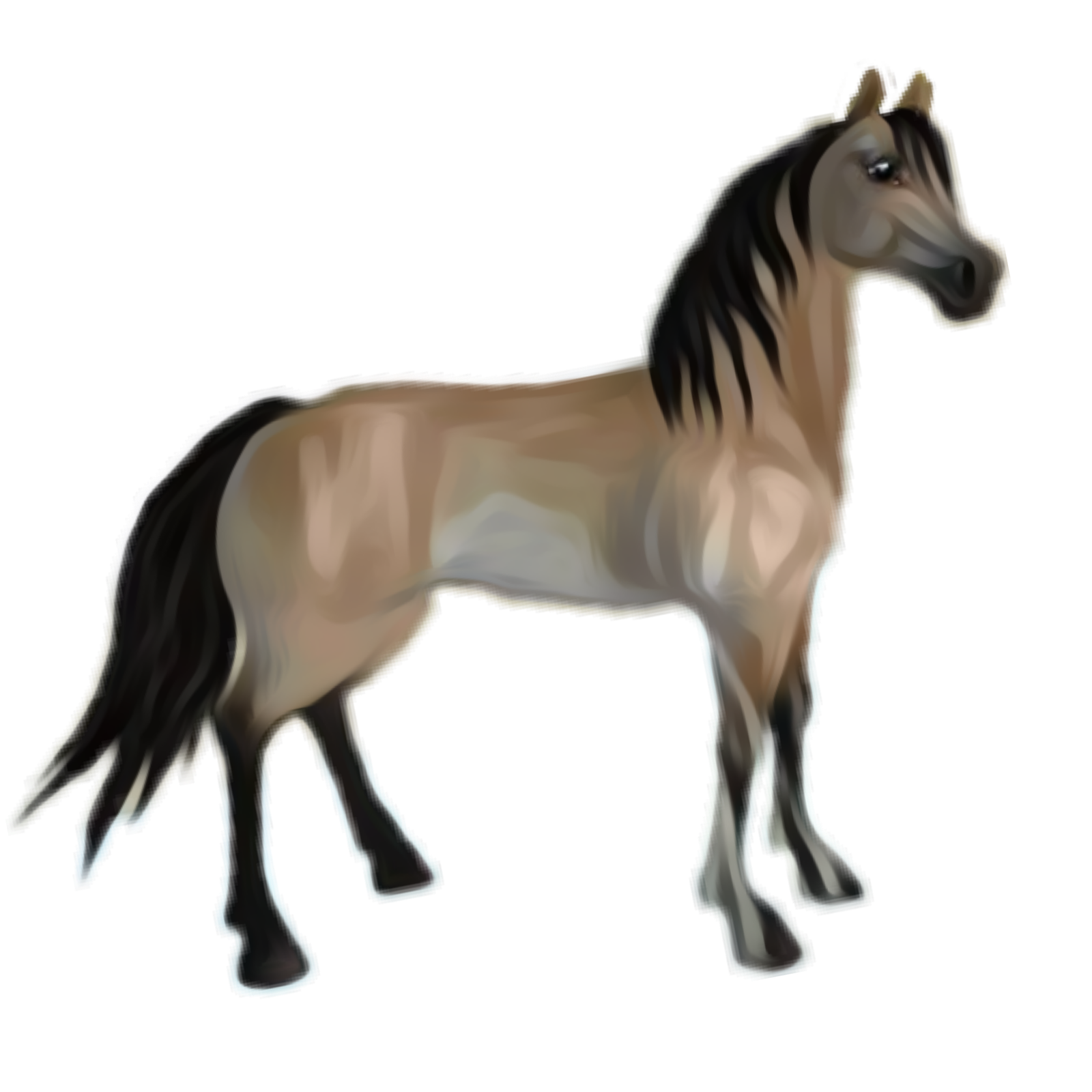 Horse Morgan Png HD Free Download