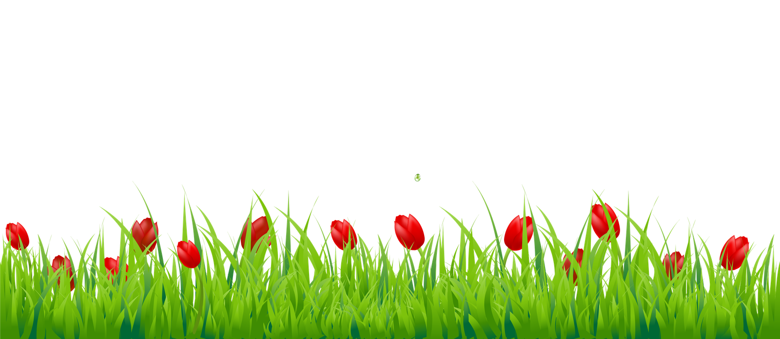 Grass Natural Png HD Free Download