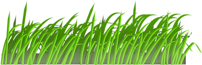 Vector Grass Natural Clipart Png Hd Free Download