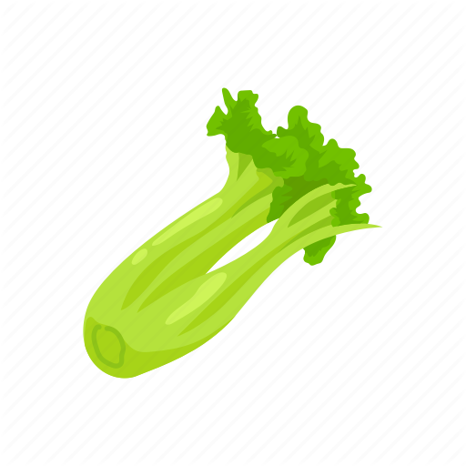 Celery Green Organic File Png HD Free Download