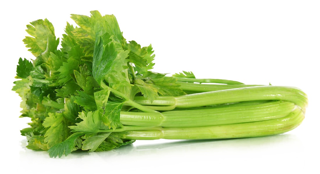 Celery Green Organic Png HD Free Download