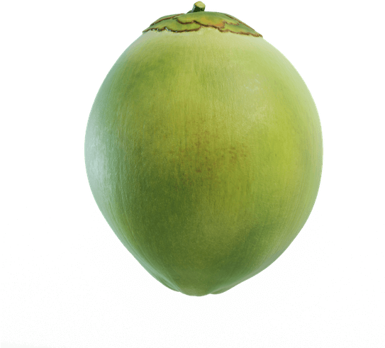 Green Coconut Organic Transparent Png Hd Free Download